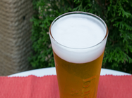 Coffee Park (interior si terasa)