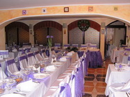 Restaurant Pisica Salbatica