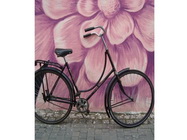 Magazin de biciclete second hand COBI Bicycle