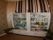 Restaurant Vegetarian Barca