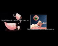 Laborator Tehnica Dentara BD