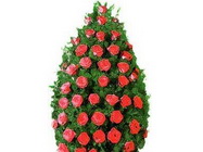 Funerare ieftine sector 3