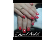 Trend Salon by Berber Cengiz