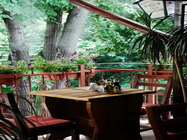 Restaurant Casa Jienilor