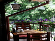 Restaurant Casa Jienilor