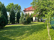 camin batrani alzheimer