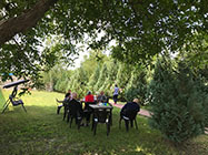 camin alzheimer ilfov