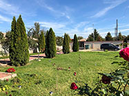 camin alzheimer ilfov