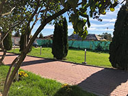 camin alzheimer ilfov