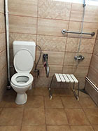 camin alzheimer ilfov