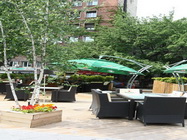 Restaurant Burebista Vanatoresc