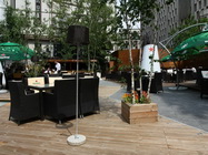 Restaurant Burebista Vanatoresc