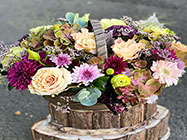 florarie piata muncii bucuresti