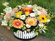 florarie piata muncii