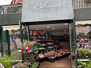 florarie piata muncii