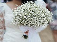 florarie piata muncii