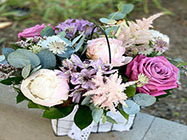 florarie piata muncii