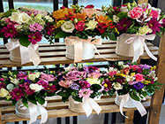 florarie piata muncii bucuresti