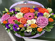 florarie piata muncii bucuresti