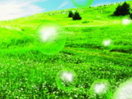 Clinica Remedium Clinica Spa