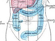 Clinica Remedium Clinica Spa