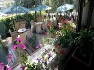 Restaurant La Fattoria