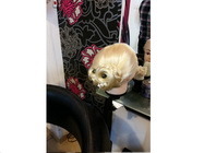 Beauty Salon By Laura