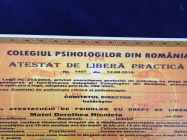 Psiholog Matei Dorothea
