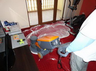 Firma de curatenie Asii Curateniei Bucuresti