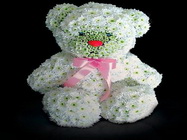  Floraria Simona Bucuresti