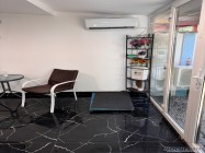 chirurgie veterinara sector 2