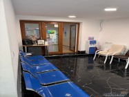 chirurgie veterinara sector 2