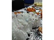 Gradinita particulara Bragadiru