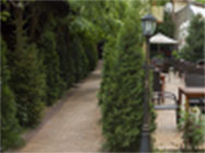 restaurant nunta bulevardul Iuliu Maniu Bucuresti