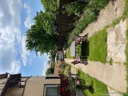 centru de ingrijire batrani ilfov