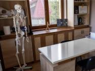 Terapie Pentru Miscare