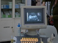 Oftalmologie veterinara Bucuresti