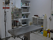 Neurochirurgie veterinara