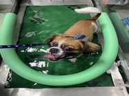 neurochirurgie veterinara bucuresti