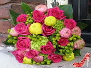  Floraria Maya Bucuresti 