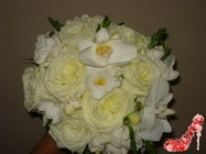  Floraria Maya Bucuresti 