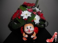  Floraria Maya Bucuresti 