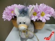  Floraria Maya Bucuresti 