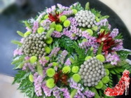  Floraria Maya Bucuresti 