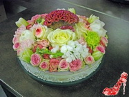  Floraria Maya Bucuresti 