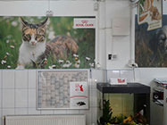 dieta veterinara Camil Ressu