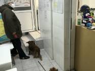 Cabinet veterinar Animal Help