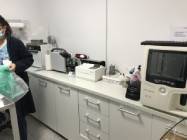 Cabinet veterinar Animal Help