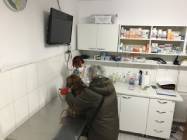 Cabinet veterinar Animal Help