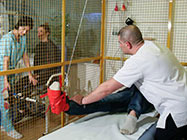 Cabinet Recuperare Medicala IVAKINETIC